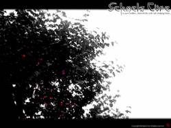 Kodoku Kara No Yobigoe, Himei